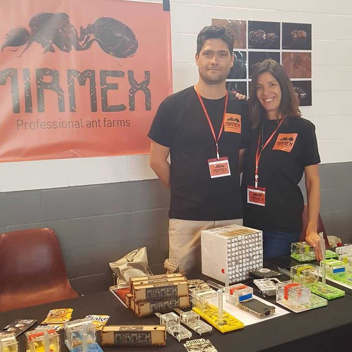 Formigueiro Didático MIRMEX – Kit Completo Médio Vermelho