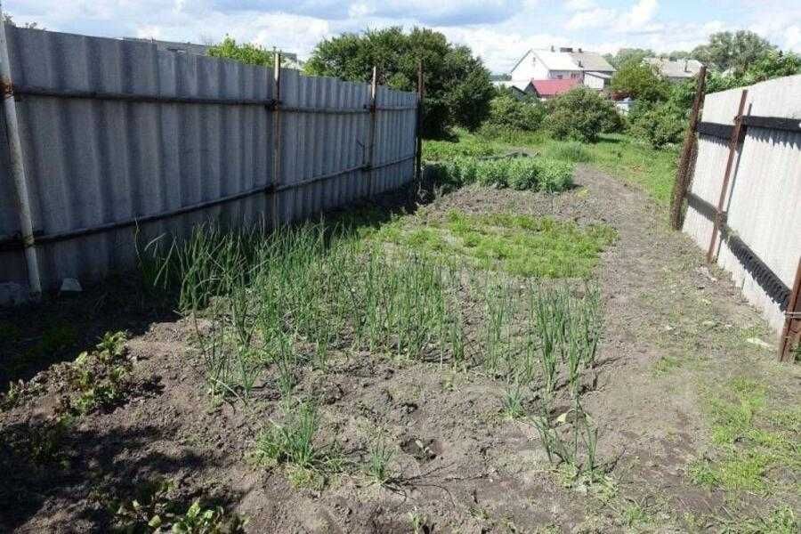 Терміново! Продам 1/2 будинка Солоницівка (Солоницевка)