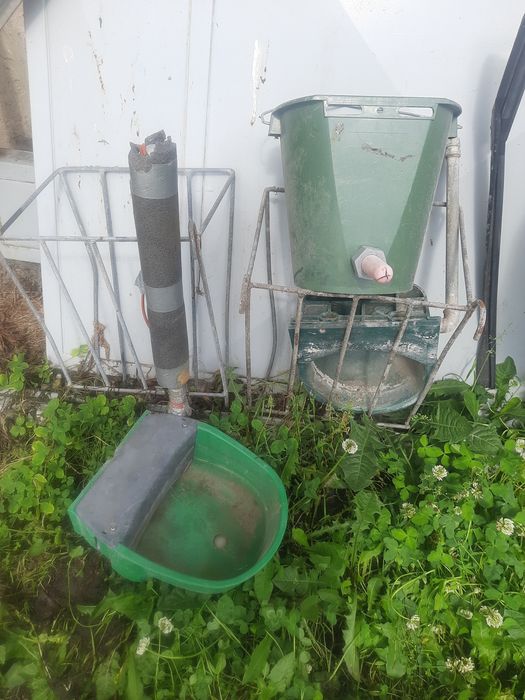 Pastuch elektryczny