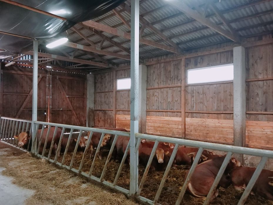 Sprzedam Chlewnię do rozbiórki