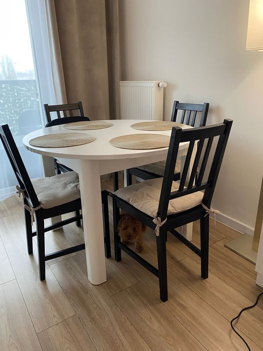 4x krzesło STEFAN, IKEA