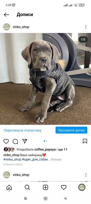 Одежда для собак. Жилет зимний