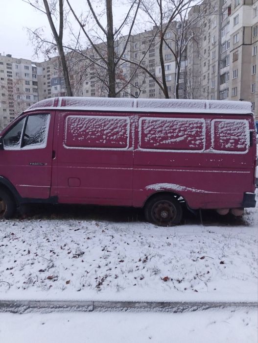 Газелька на полном ходу
