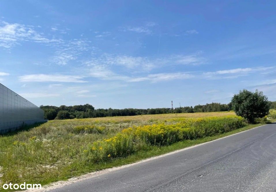 Atrakcyjna działka inwestycyjna 1,14 ha – Wrocław (Jerzmanowo) - Widok 5