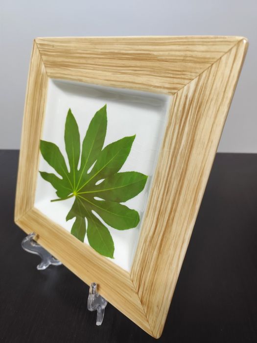 Prato decorativo - Raul da Bernarda (Cerâmica Portuguesa)