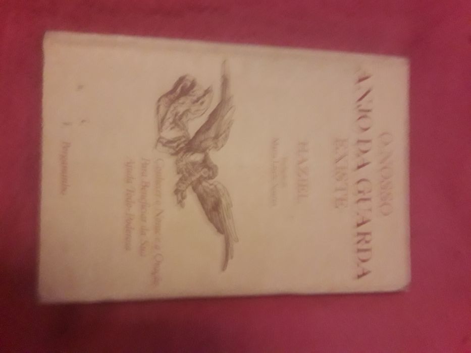 O Anjo da Guarda Existe