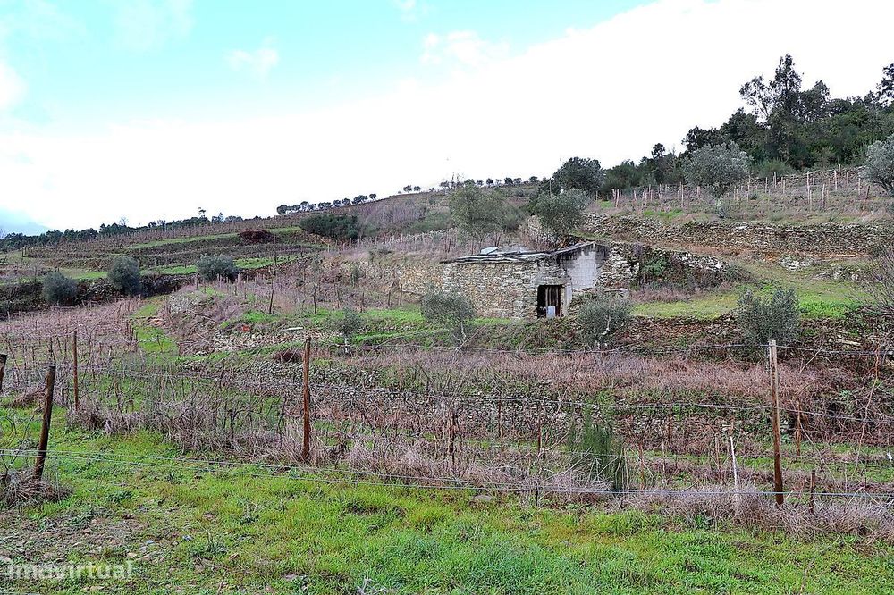 Quinta  para venda