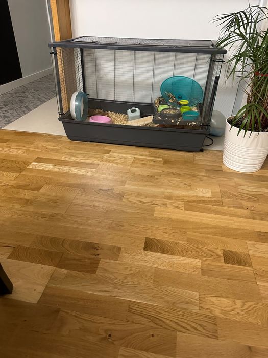 Sprzedam klatkę dla gryzonia