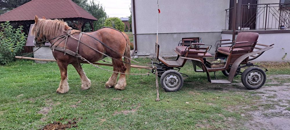Sprzedam bryczkę