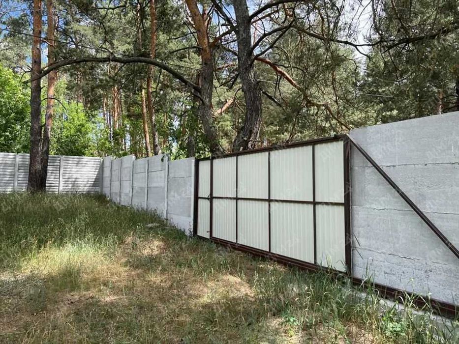 Велика ділянка в сосновому лісі!