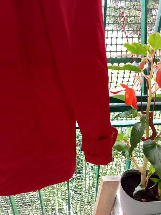 Piękny płaszczyk prochowiec krótki