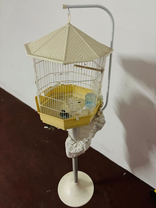 Gaiola de pé branca
