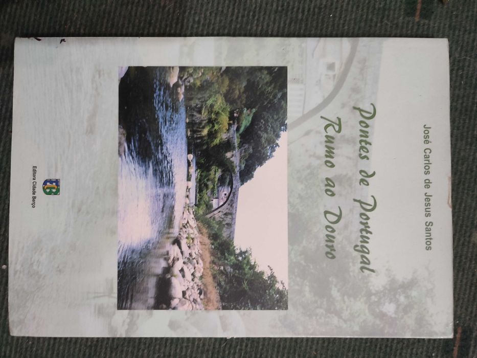 Pontes de Portugal Rumo ao Douro - José Carlos de Jesus Santos