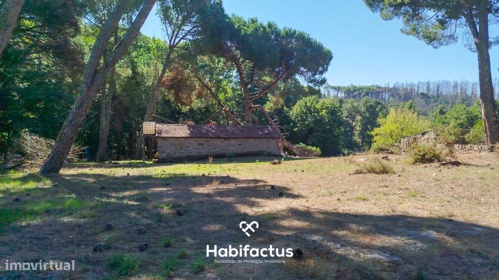 Quinta com 18.747 m² e Arrumos em Pedra em Cabanas de Viriato | Carreg