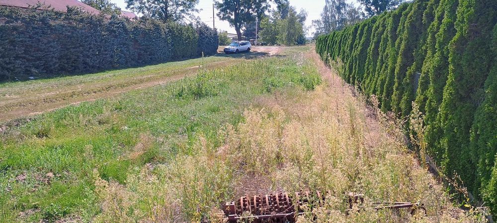 Działka 1,25ha z możliwością podziału na 9 działek - View 5