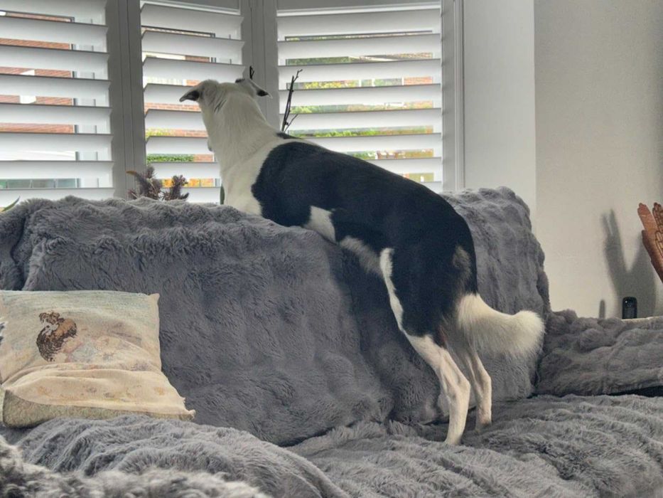 Pokrowiec na sofę, narzuta, antypoślizgowy, mata na sofę kanapę  NOWA