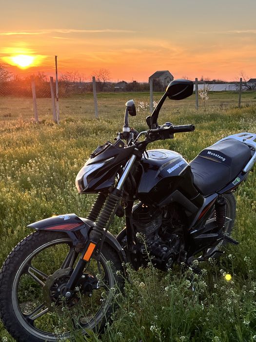 Продажа  мотоцикла  Мусстанг Фортуна. 200 срочно