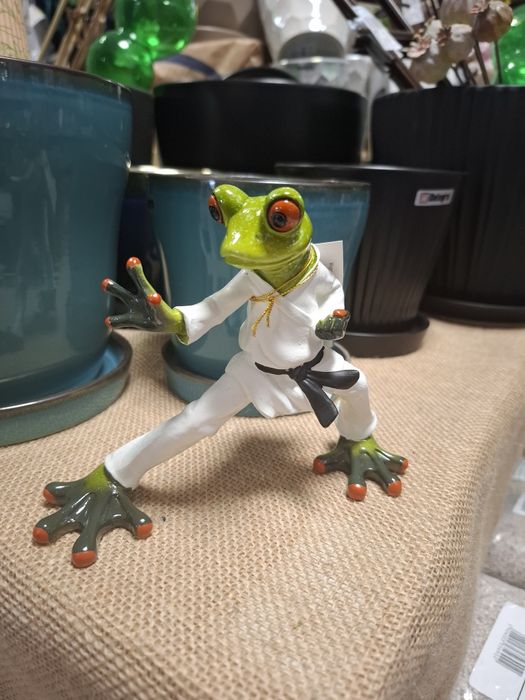 Żaba figurka żaby karateka