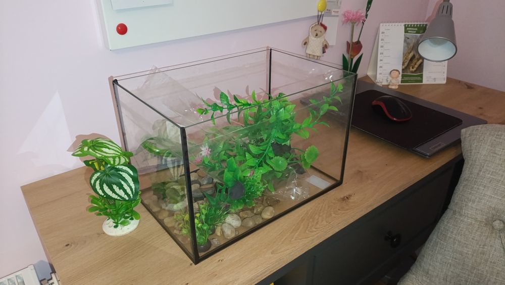 Małe akwarium plus dodatki wymiary 30x20 cm