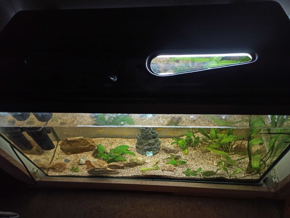 Sprzedam akwarium że wszyskim 126 l