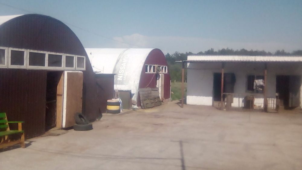 Продам бізнес під ключ, ферма з потенціалом