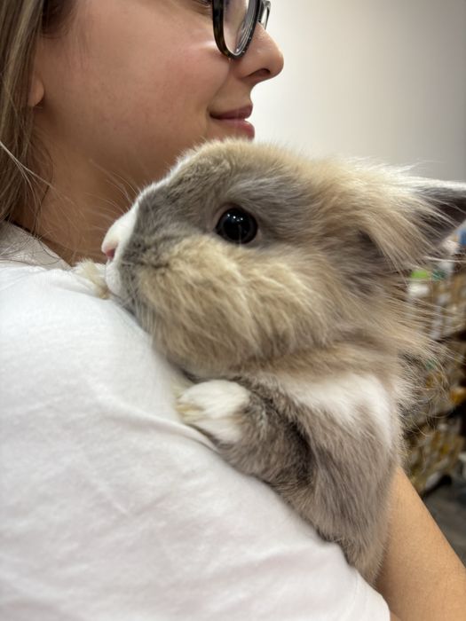 Pet sitter Lisboa | Cães e Gatos | House Sitting | Cuidadora de animais | Visitas, Passeios e Estadia
