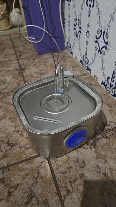 Torre Gatos + Transportadoras e Acessórios