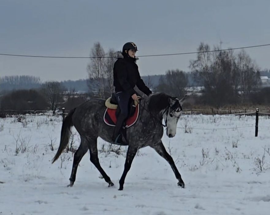 Wyprzedaż noworoczna  Atrakcyjna c**a przy sprawnej decyzji