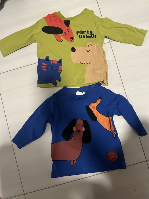 Bluzki 68 coccodirlo