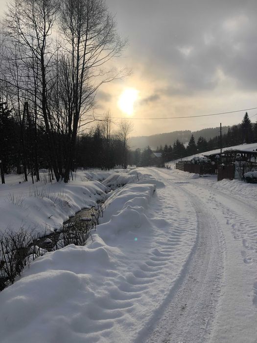 Wynajmę dom w górach Sowich (do 12 osób) na Ferie 2026