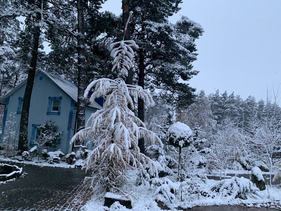 Мотель  Броди АЗС ОККО М06  Киів-Чоп