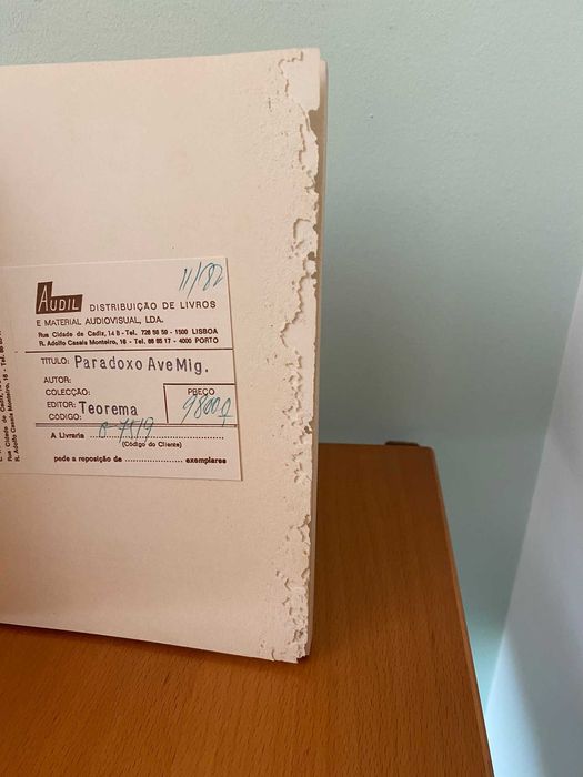 O Paradoxo da Ave Migratória - Luis Goytisolo