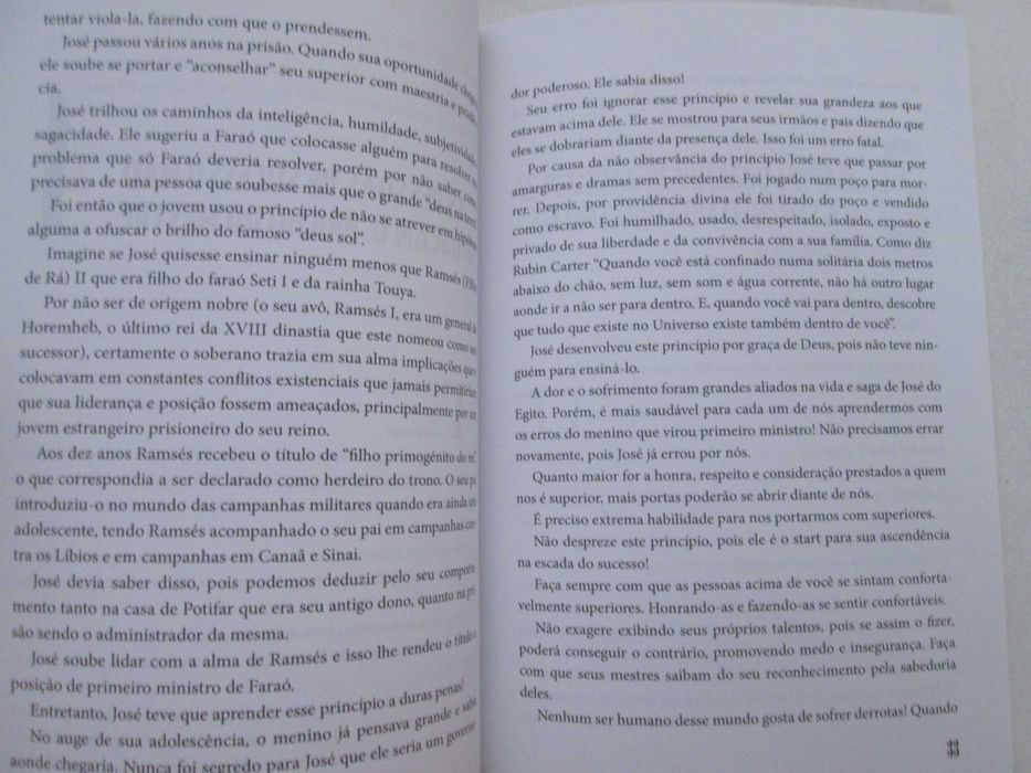 24 segredos das pessoas de sucesso- Júnior Santos
