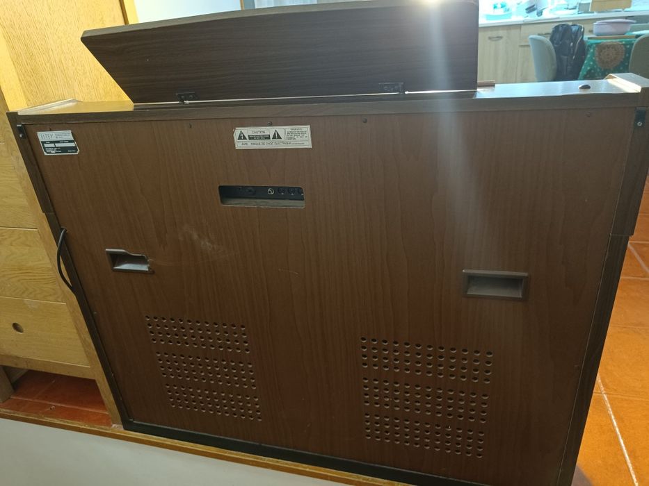 Órgão/Piano elétrico vintage