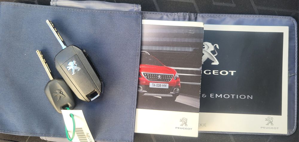 Peugeot 2008 1.6 BlueHDi 120cv cx6