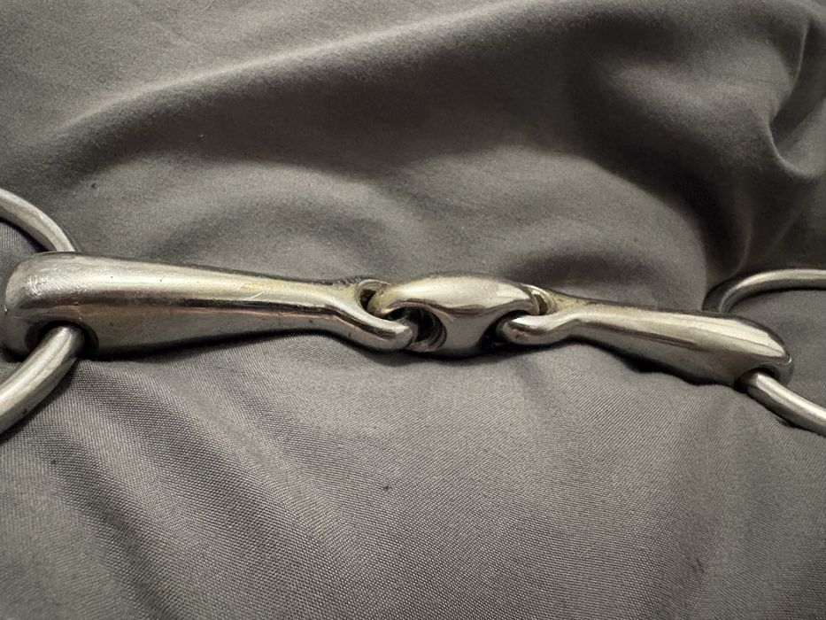 Wędzidło dla konia