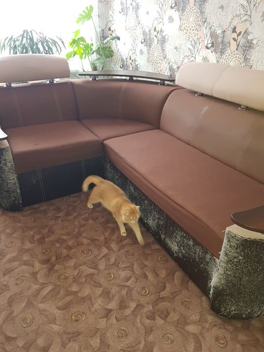 Отдам даром самовывоз