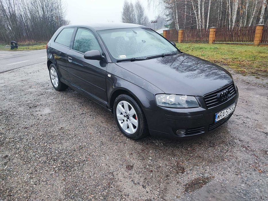 Audi A3 8P 2.0 TDI