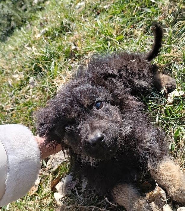 Pokochaj dużym sercem małe