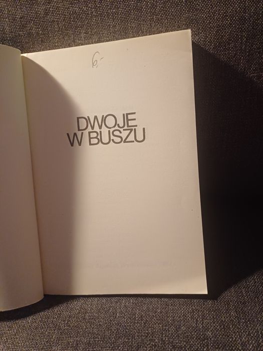 Tadeusz Zimecki Dwoje w buszu