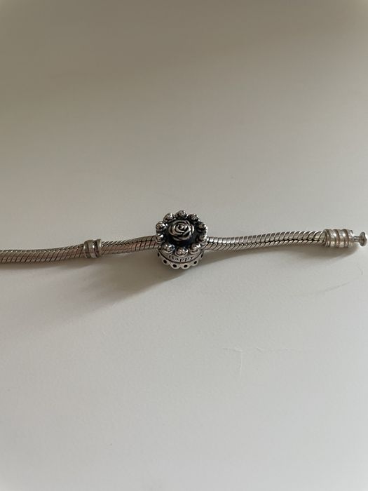 Pandora conta bolo de aniversario