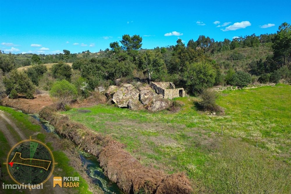 Terreno 1.1ha com Ruína e Vale Fértil | Cafede, Castelo Branco