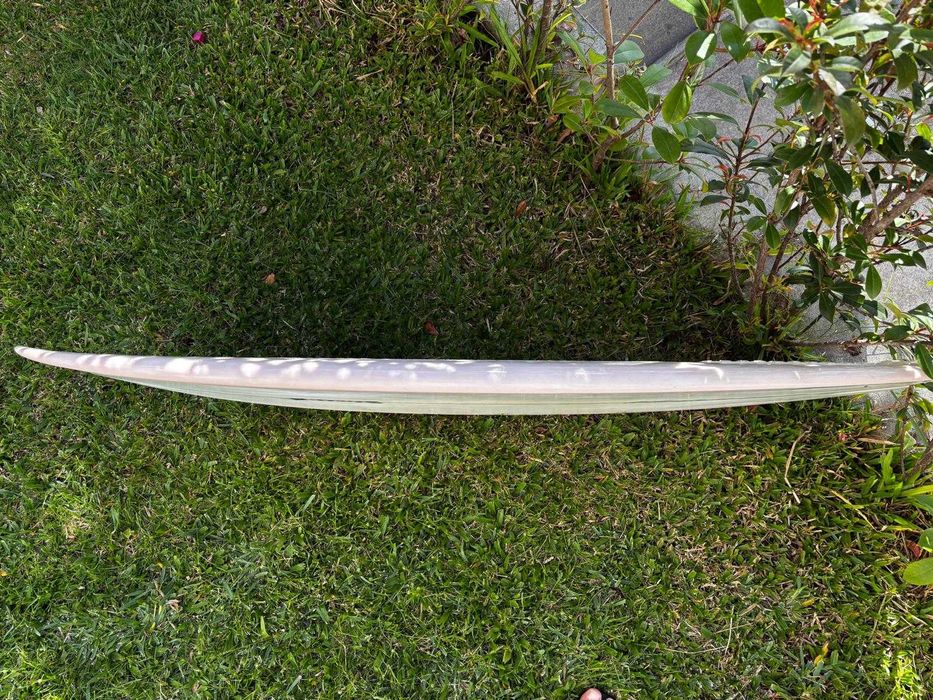 Prancha Semente Twin 4’9 x 16 3/8 x 2 1/8 - 22.0L