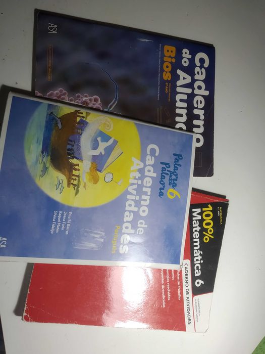 Livros de atividades 6° ano