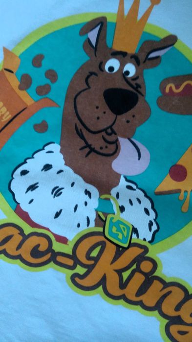 koszulka coccodrillo 122 bez rękawków
