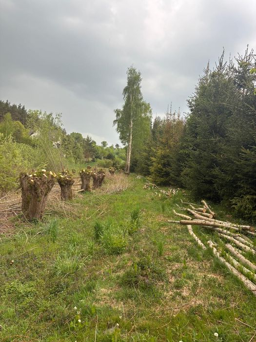Działki budowlane 1000–1300 m².  Cisza + zieleń Kolonia Ostrowicka - Widok 2