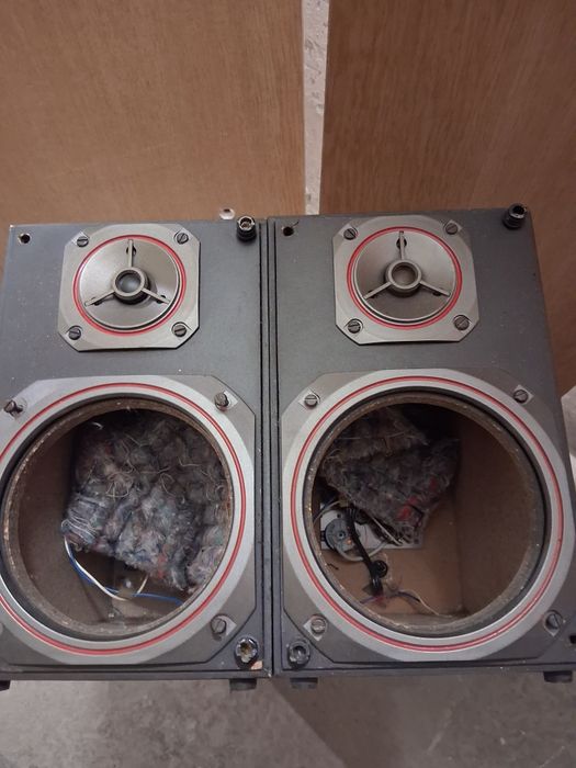 Kolumny 8omh 25W tonsil