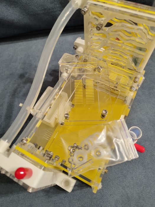 Акриловая муравьиная ферма ( Формикартй ) 11x15x21см