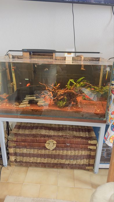 aquario 200L com estrutura e bomba