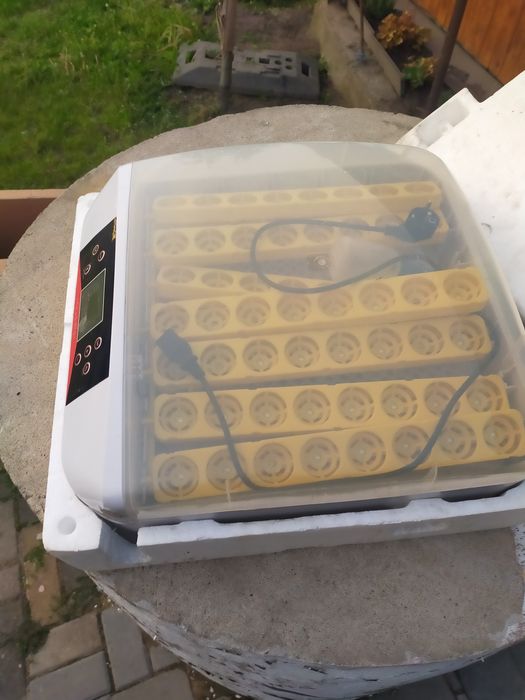 Inkubator do  jajek